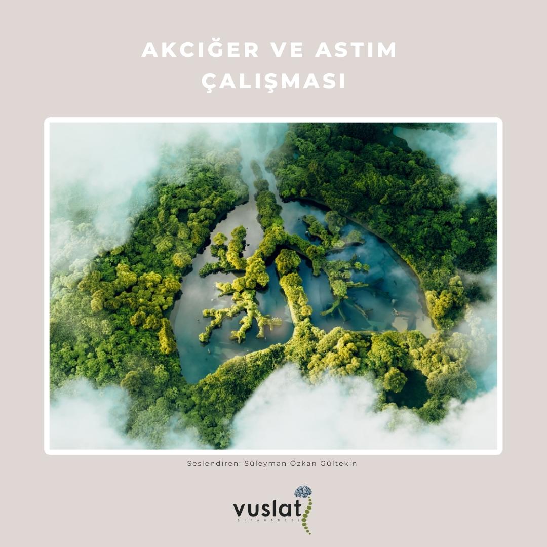 Akciğer ve Astım Çalışması
