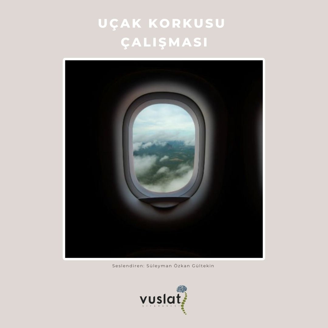 Uçak korkusu çalışması