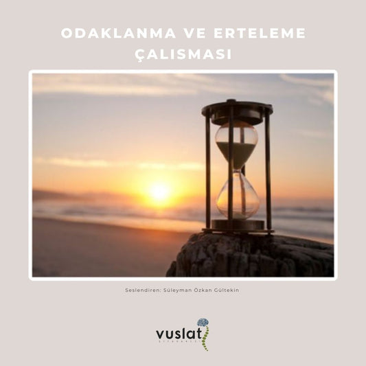 Odaklanma ve Erteleme Çalısması